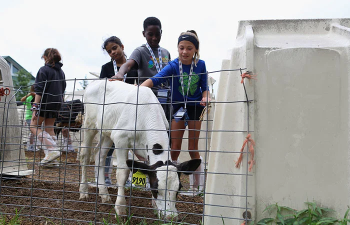082319_futp60-farm-viep_patcalf_700x450